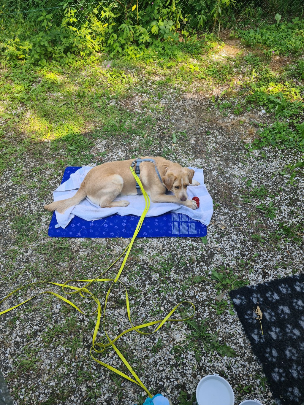 Wasser, was geben wir für&nbsp;Wasser