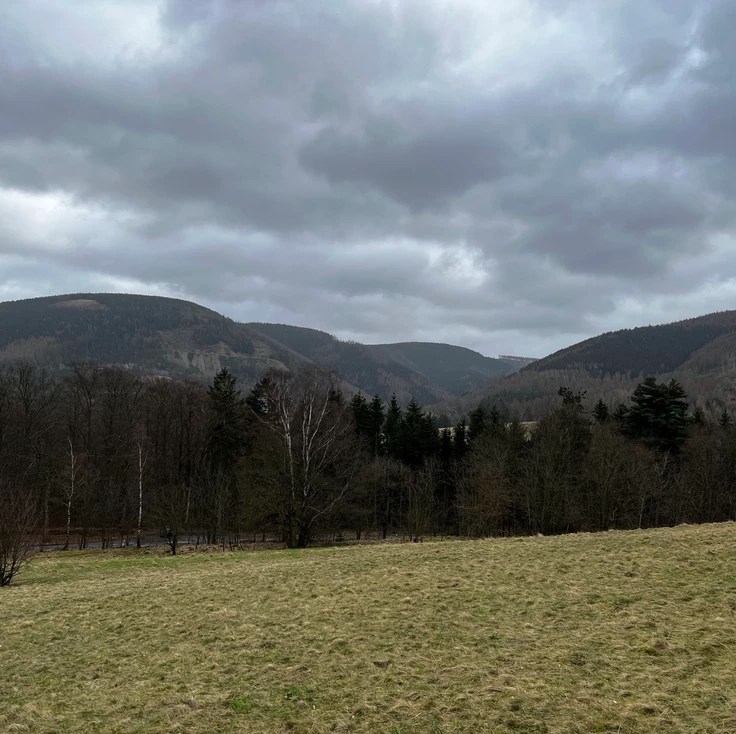 Man fühlt sich fast als&nbsp;Filmstar…