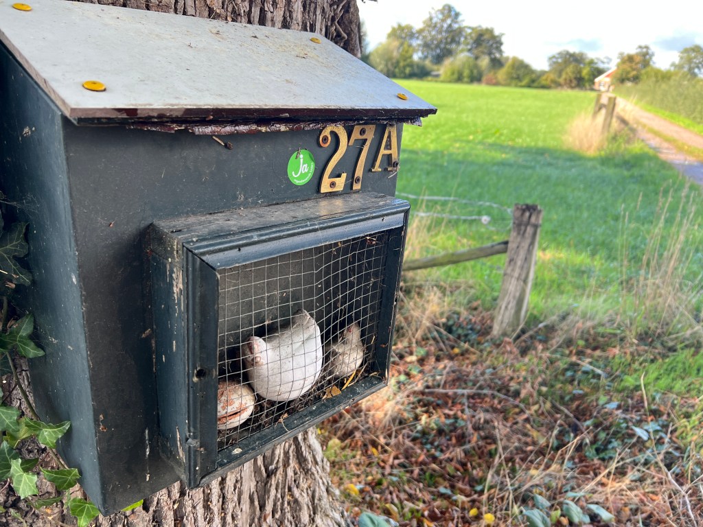 Der Regen als ständiger&nbsp;Begleiter