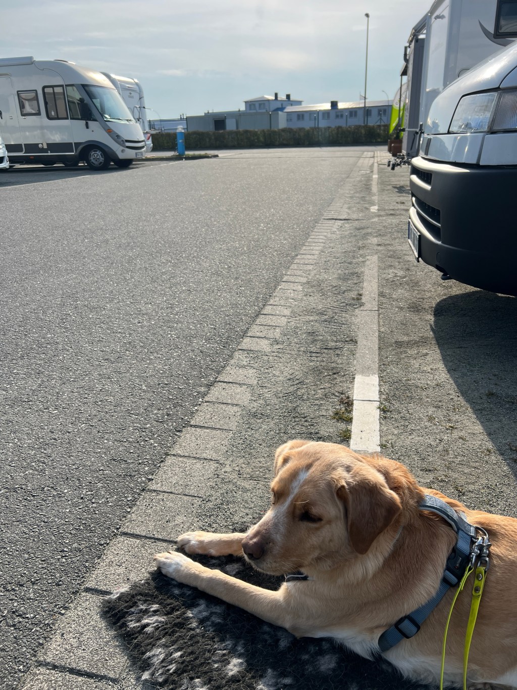 Die Saison starten in:&nbsp;Bremerhaven