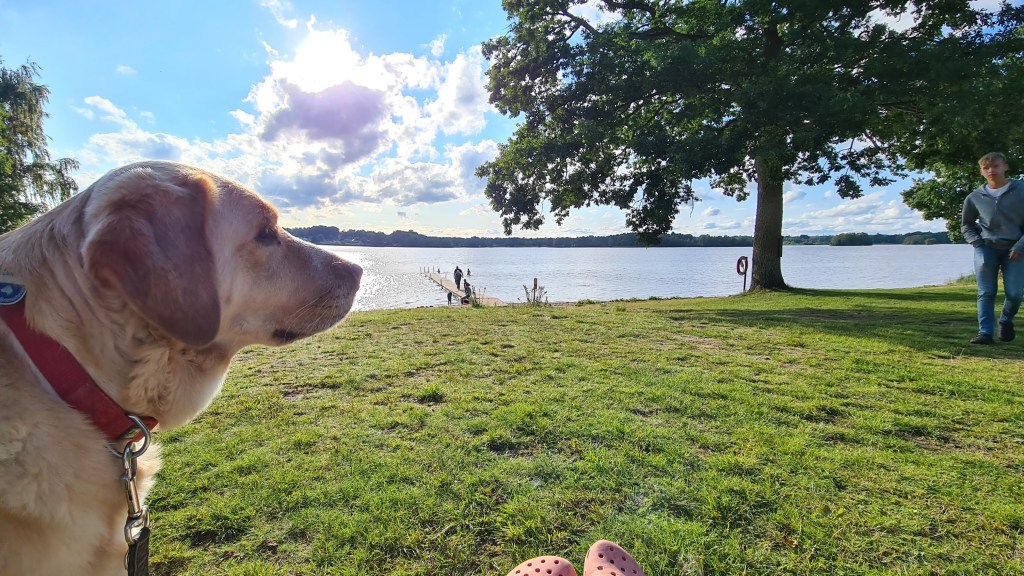 Die reine Natur und nichts&nbsp;weiter