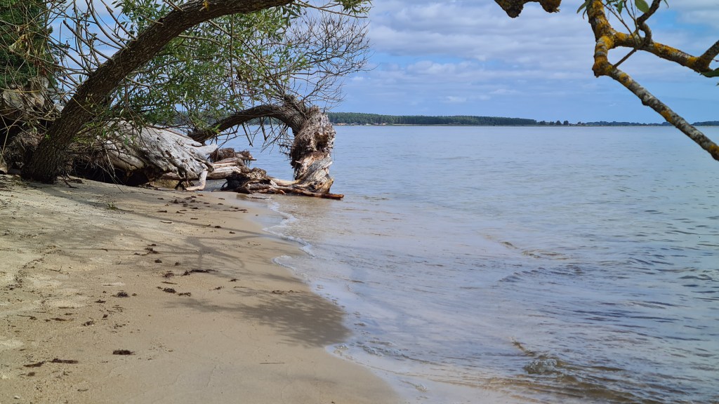 Die Umschreibung des Nichtstuns