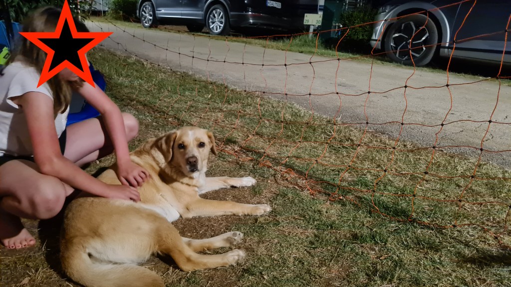 Heute machen wir mal&nbsp;nichts